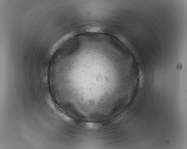 X0000113240442200909241550