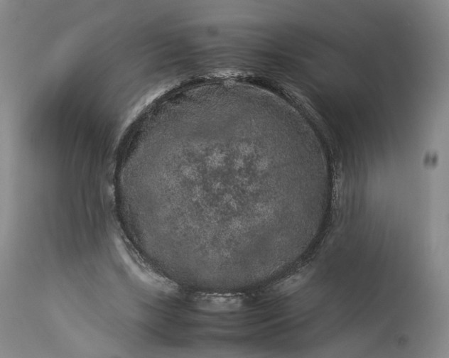 X0000113240443200909241550