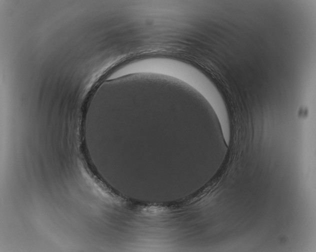 X0000113240444200909241550