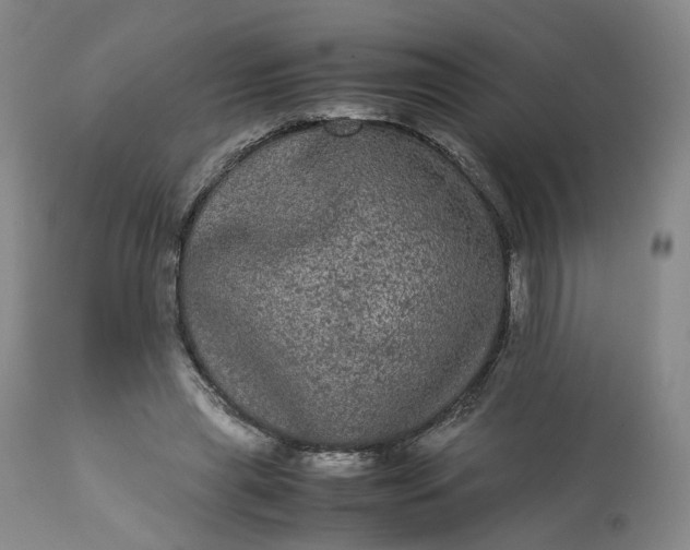 X0000113240445200909241550