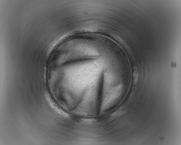 X0000113240446200909241550