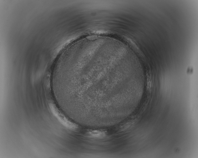 X0000113240447200909241551