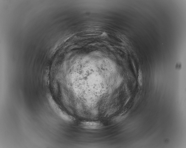 X0000113240449200909241551