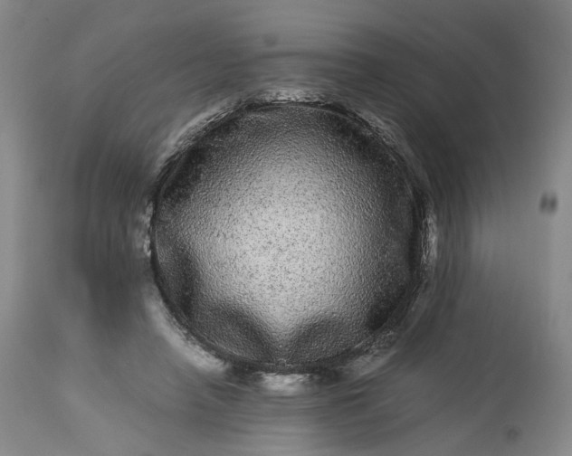 X0000113240450200909241551