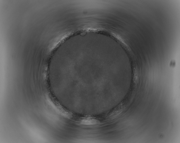 X0000113240451200909241551