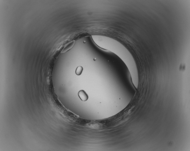 X0000113240452200909241551