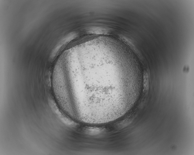 X0000113240453200909241551