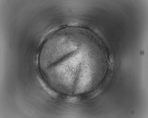 X0000113240454200909241551