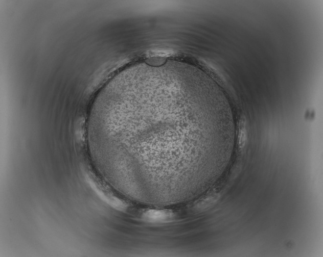 X0000113240455200909241551