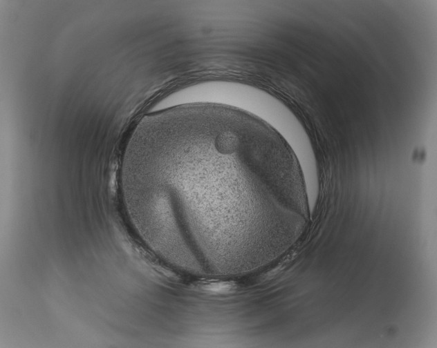 X0000113240456200909241551