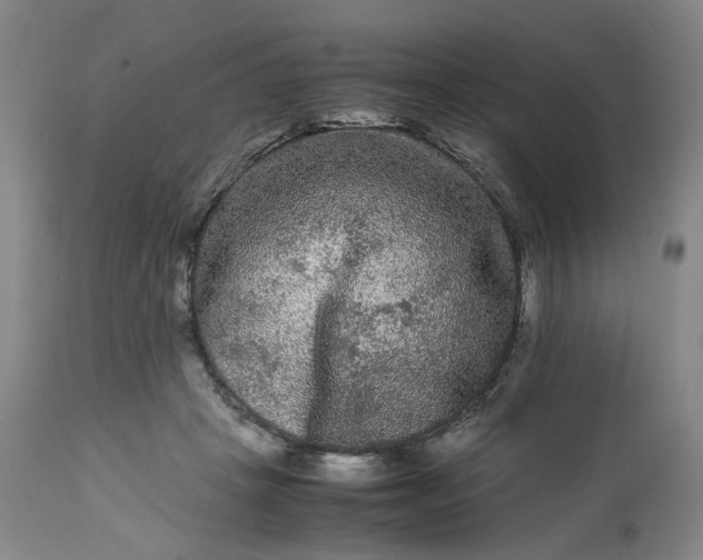 X0000113240457200909241551