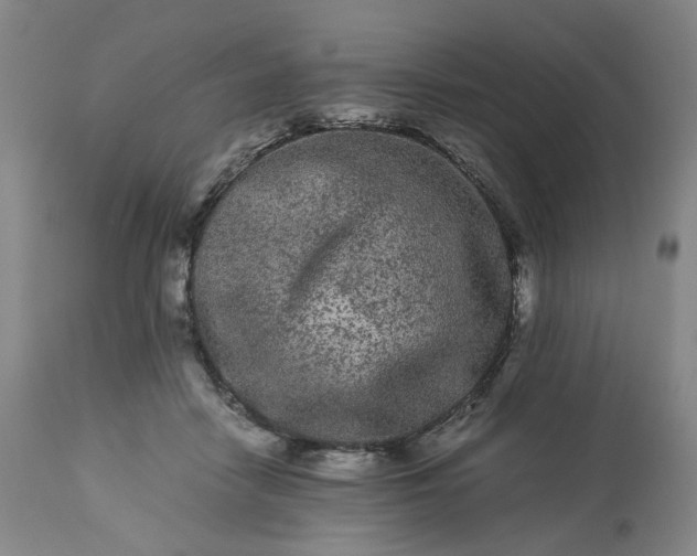 X0000113240458200909241551