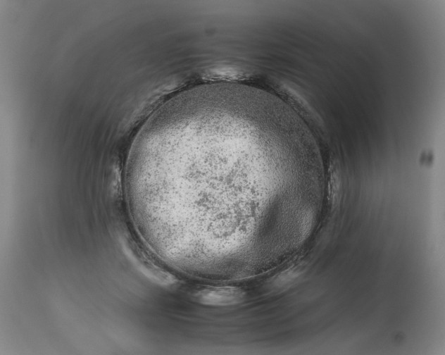 X0000113240459200909241551