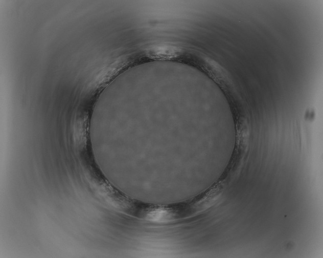 X0000113240460200909241551