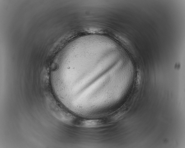 X0000113240461200909241551