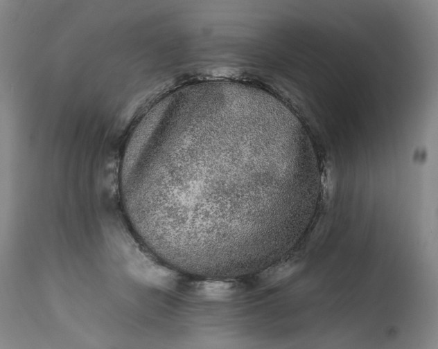 X0000113240462200909241551