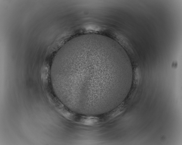 X0000113240463200909241551