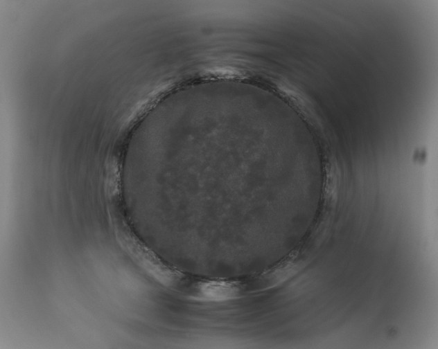 X0000113240465200909241551