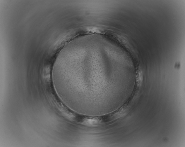 X0000113240466200909241551