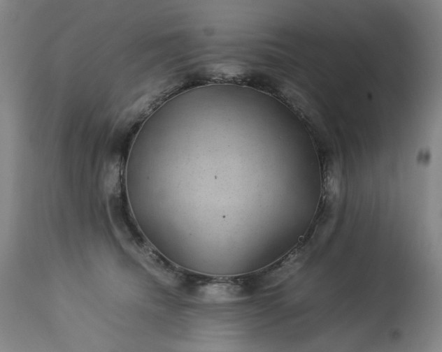 X0000113240468200909241551