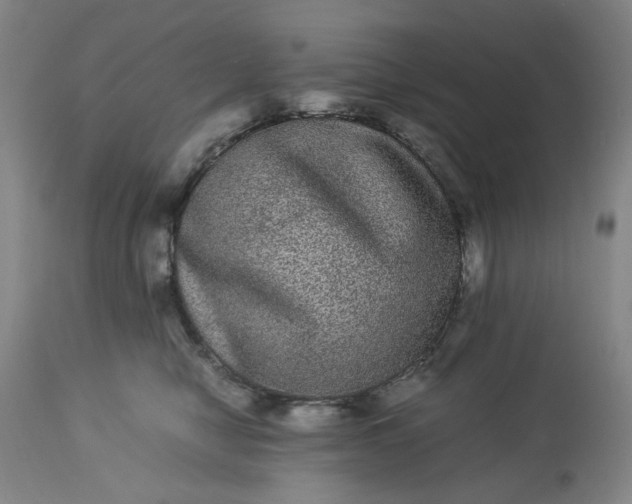 X0000113240470200909241551