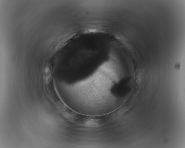 X0000113240471200909241551