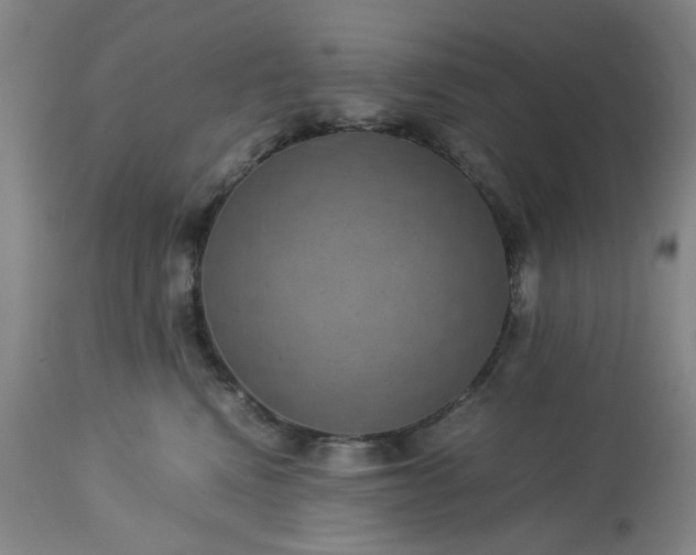 X0000113240472200909241551