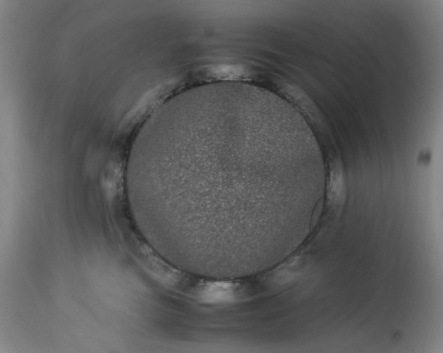 X0000113240473200909241551