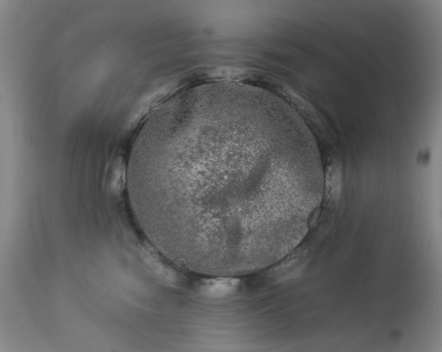 X0000113240474200909241551