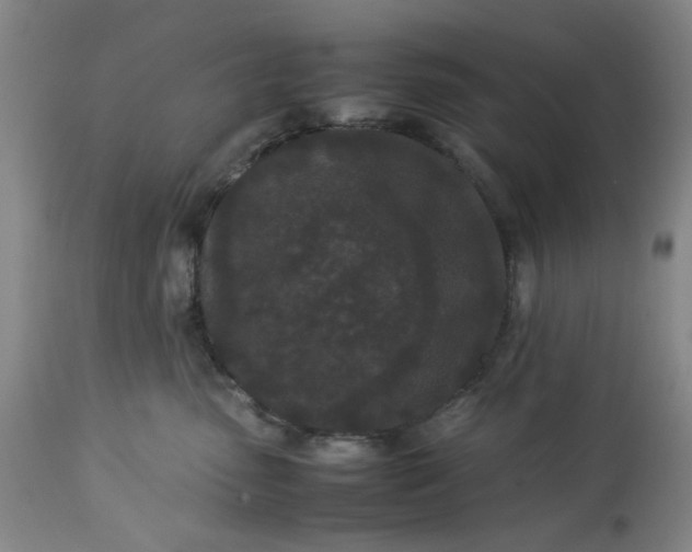 X0000113240475200909241551