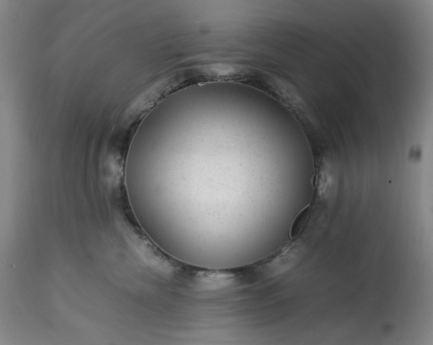 X0000113240476200909241551