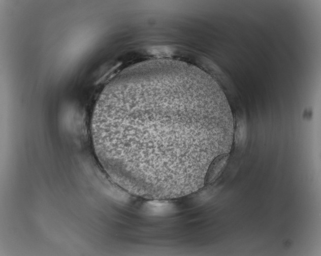 X0000113240477200909241551