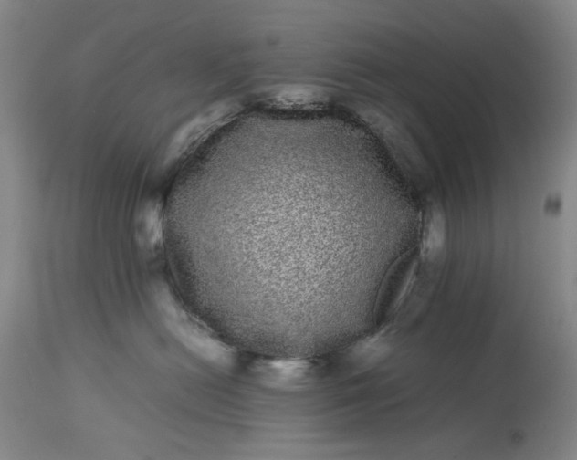 X0000113240478200909241551