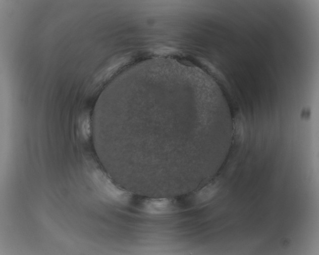 X0000113240479200909241551