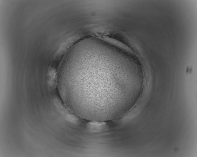 X0000113240480200909241551