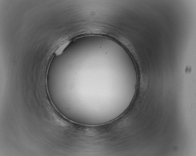 X0000113240481200909241550