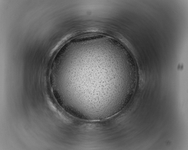 X0000113240482200909241550