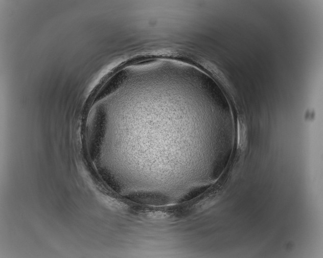 X0000113240483200909241550