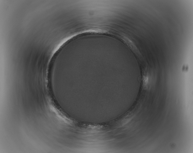 X0000113240484200909241550