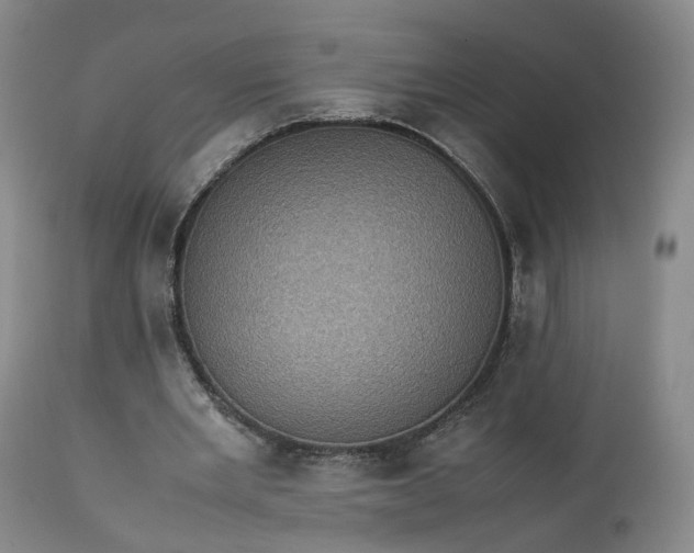 X0000113240485200909241550