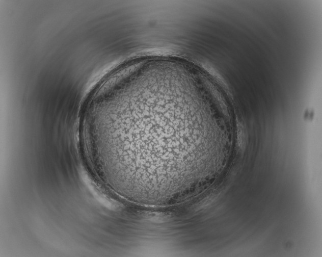 X0000113240486200909241550