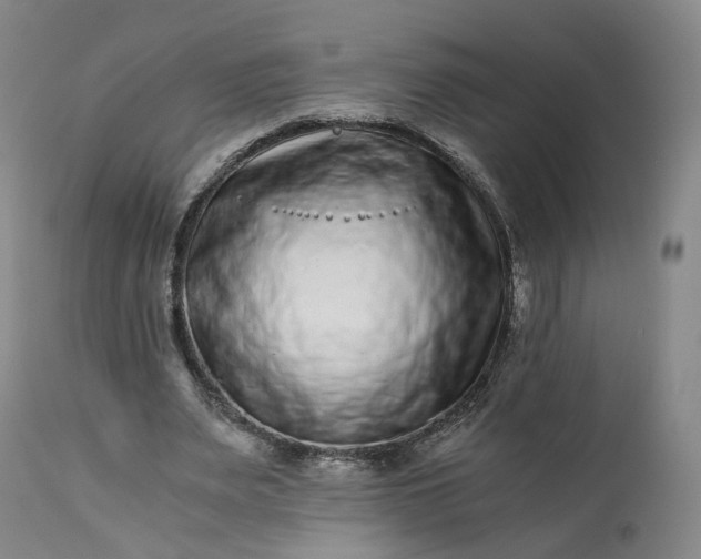 X0000113240487200909241550