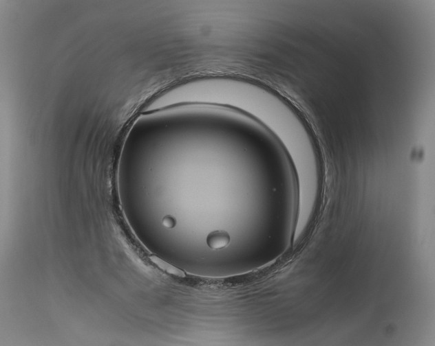 X0000113240489200909241550