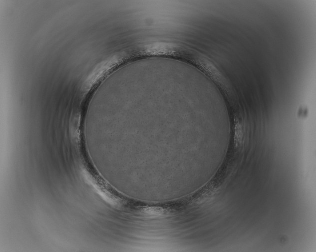 X0000113240490200909241550