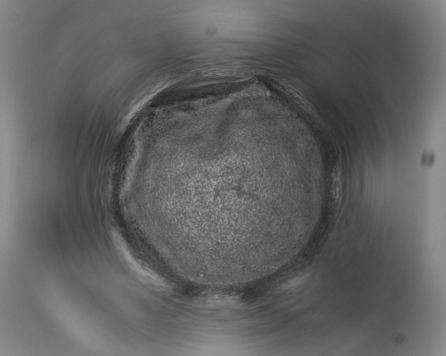 X0000113240491200909241550