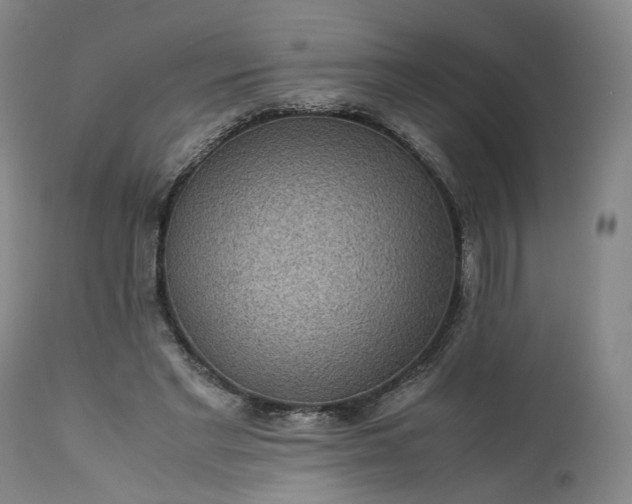 X0000113240493200909241550