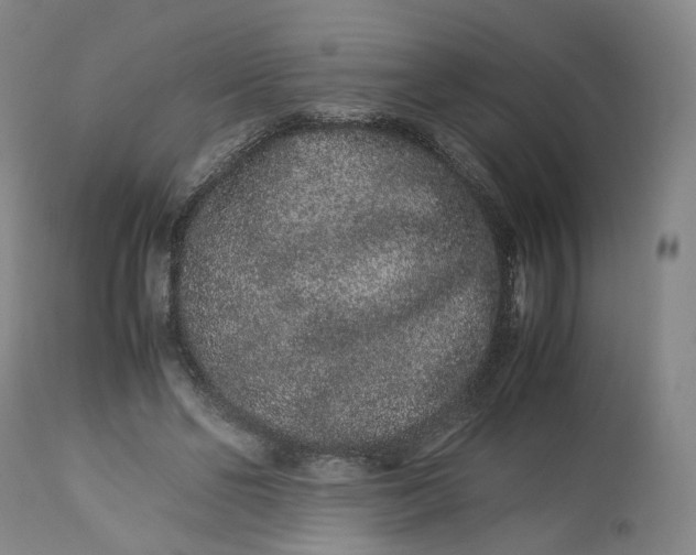 X0000113240494200909241550