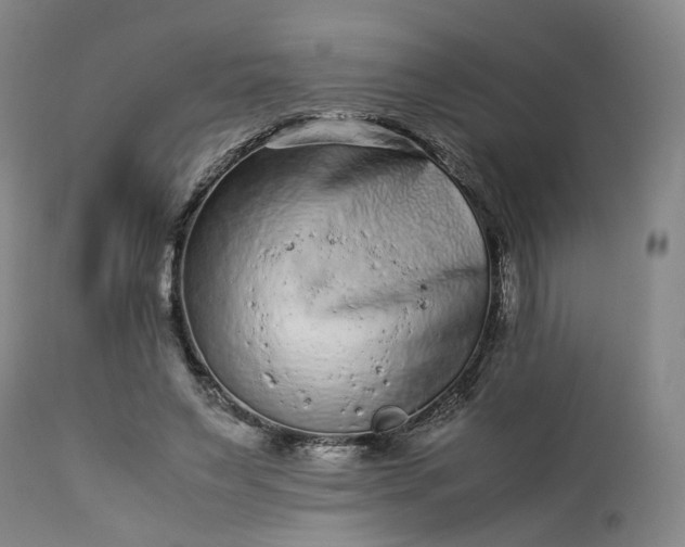 X0000113240495200909241550