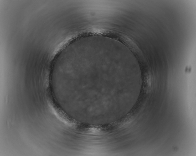 X0000113240496200909241550