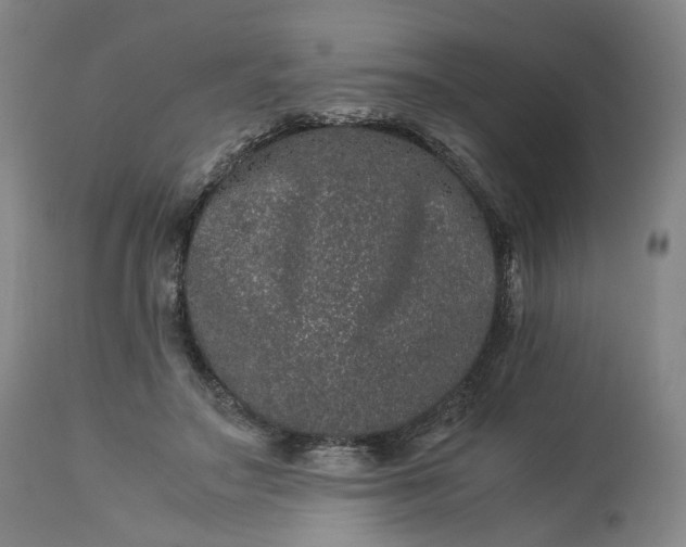 X0000113240499200909241550